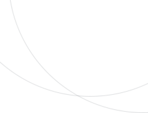 Vivamus ut magna turpis